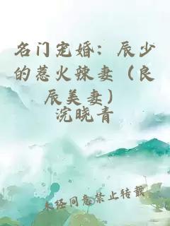 名門(mén)寵婚：辰少的惹火辣妻（良辰美妻）