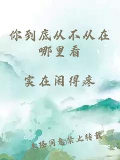 你到底從不從在哪里看