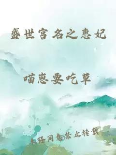 盛世宮名之惠妃