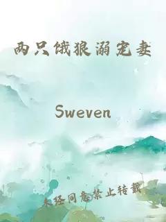兩只餓狼溺寵妻