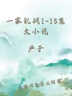 一家亂戰1-13集大小說(shuō)