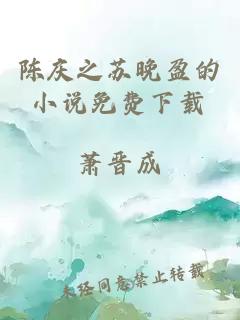 陳慶之蘇晚盈的小說(shuō)免費下載
