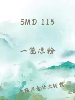 SMD 115