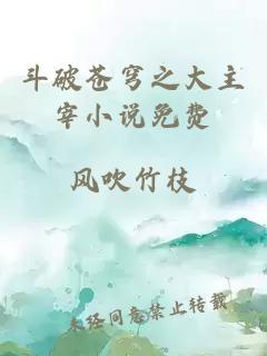 斗破蒼穹之大主宰小說(shuō)免費