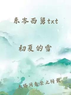 東岑西舅txt