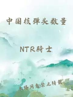中國核彈頭數量
