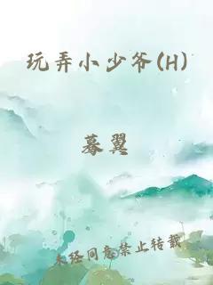 玩弄小少爺(H)