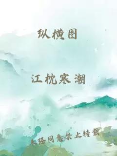 縱橫圖