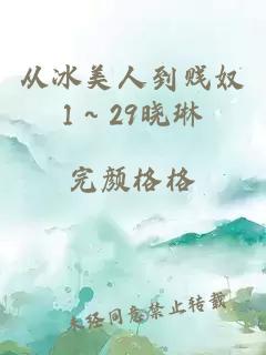 從冰美人到賤奴1～29曉琳