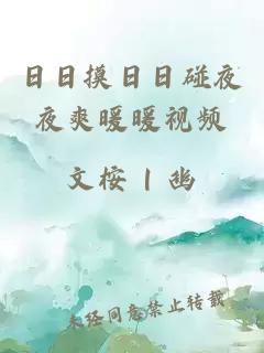 日日摸日日碰夜夜爽暖暖視頻