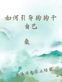 如何引導狗狗干自己