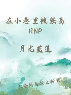 在小巷里被強高HNP