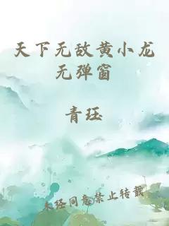 天下無(wú)敵黃小龍無(wú)彈窗