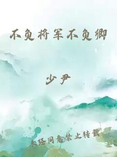 不負將軍不負卿
