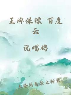 王牌保鏢 百度云