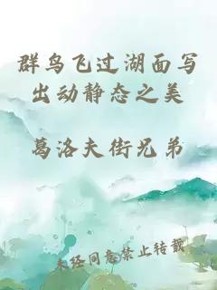群鳥(niǎo)飛過(guò)湖面寫(xiě)出動(dòng)靜態(tài)之美