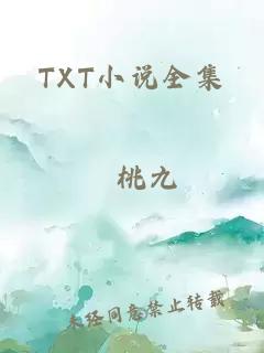 TXT小說(shuō)全集