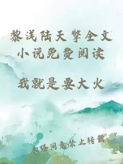 黎淺陸天擎全文小說(shuō)免費閱讀