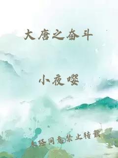 大唐之奮斗