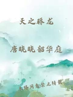 天之驕龍