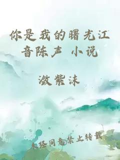 你是我的曙光江音陳聲 小說(shuō)