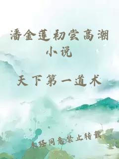 潘金蓮初嘗高潮小說(shuō)