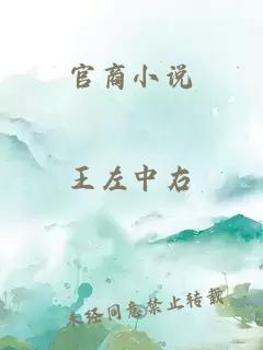 官商小說(shuō)