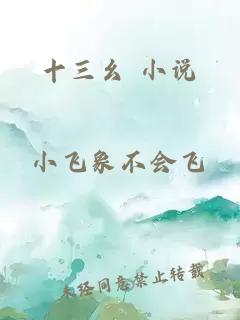 十三幺 小說(shuō)