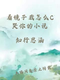 看鏡子我怎么C哭你的小說(shuō)