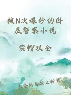 被N次爆炒的臥底警察小說(shuō)