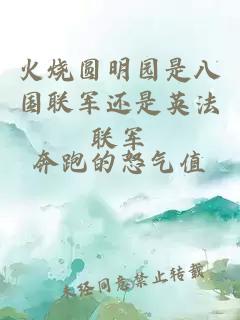 火燒圓明園是八國聯(lián)軍還是英法聯(lián)軍