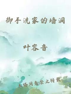 御手洗家的墻洞