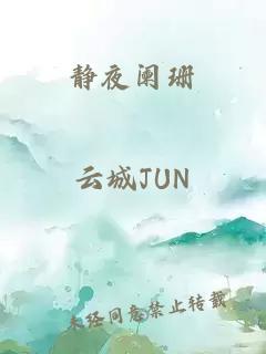 靜夜闌珊