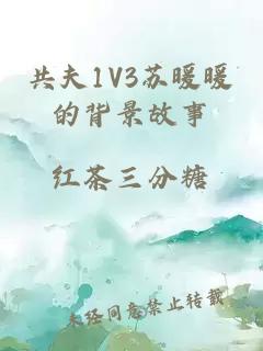 共夫1V3蘇暖暖的背景故事