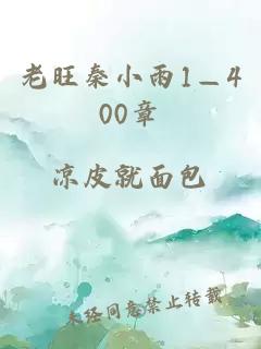 老旺秦小雨1—400章