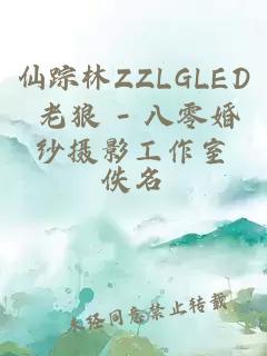 仙蹤林ZZLGLED 老狼 - 八零婚紗攝影工作室