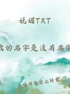 嫵媚TXT