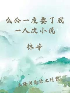 么公一夜要了我一八次小說(shuō)