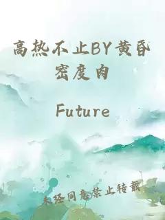 高熱不止BY黃昏密度肉