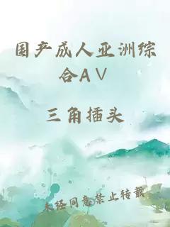 國產(chǎn)成人亞洲綜合A∨