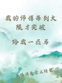 我的師傅每到大限才突破
