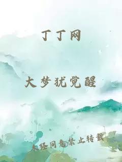 丁丁網(wǎng)