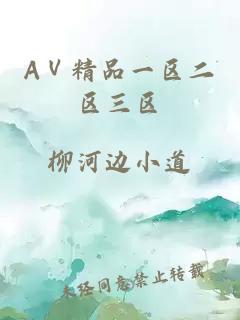 AⅤ精品一區二區三區