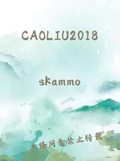 CAOLIU2018