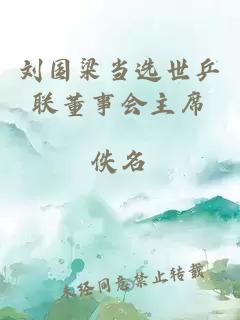 劉國梁當選世乒聯(lián)董事會(huì )主席