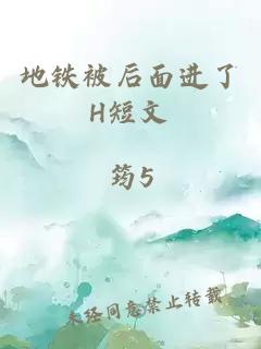 地鐵被后面進(jìn)了H短文