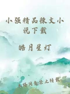 小強精品辣文小說(shuō)下載