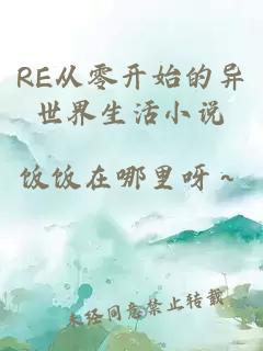 RE從零開(kāi)始的異世界生活小說(shuō)