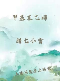 甲基苯乙烯