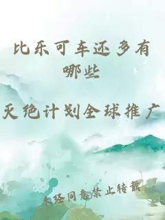 比樂(lè )可車(chē)還多有哪些